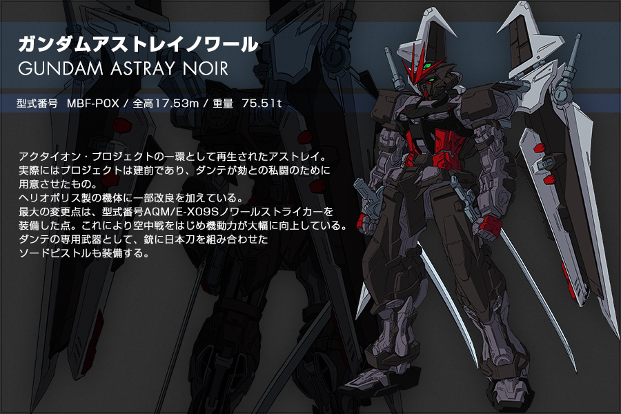 機動戦士GUNDAM SEED DESTINY ASTRAY R/B